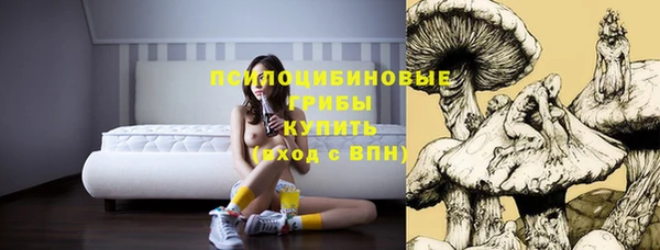 круглые Новодвинск