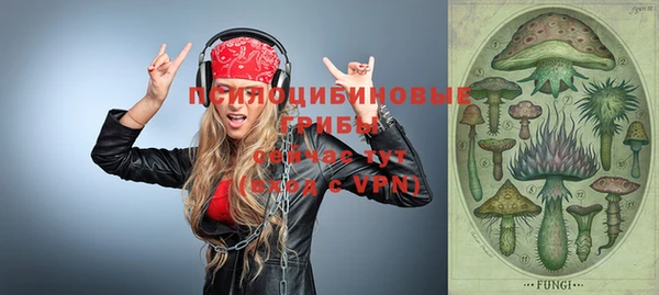 молекула духа Баксан